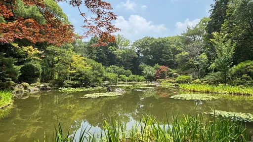 En vakker park i japan